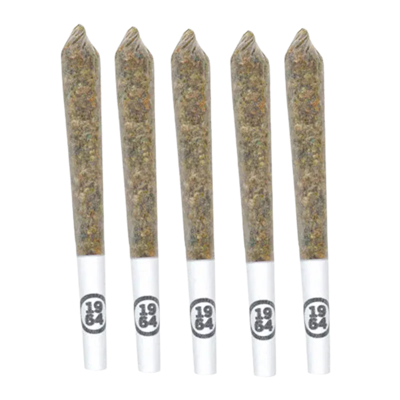 Five pre-rolled joints arranged upright against a white background, labeled Gasolina PR 5 x 0.5 g on the white tips.