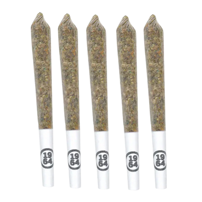 Five pre-rolled joints arranged upright against a white background, labeled Gasolina PR 5 x 0.5 g on the white tips.