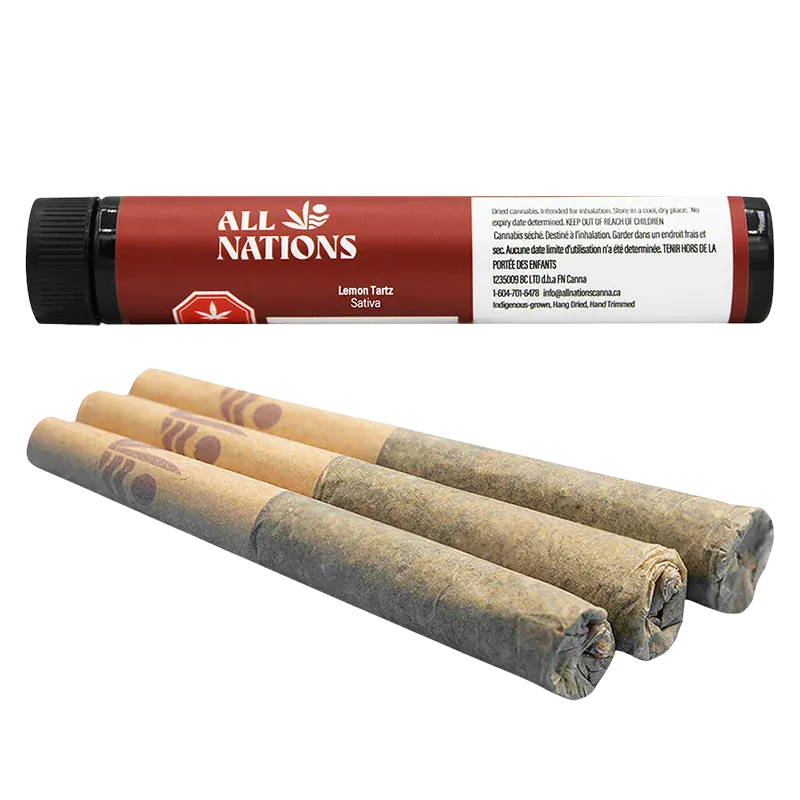 Top-down view of three rolled pre-rolls in front of a red All Nations Lemon Tartz PR 3 x 0.5 g tube, showing paper tips and tightly packed ends.