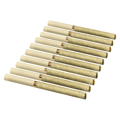 Back Forty 7.5 g Backpackers Lemon Diesel PR 10 x 0.75 g Pre-Rolls