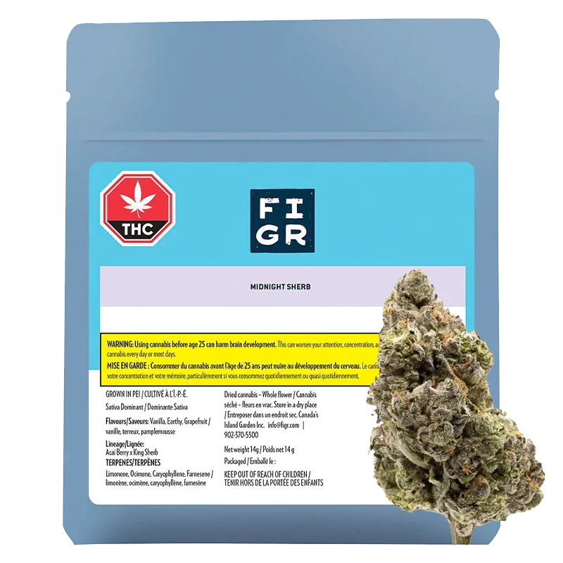 FIGR 14 g Midnight Sherb Flower