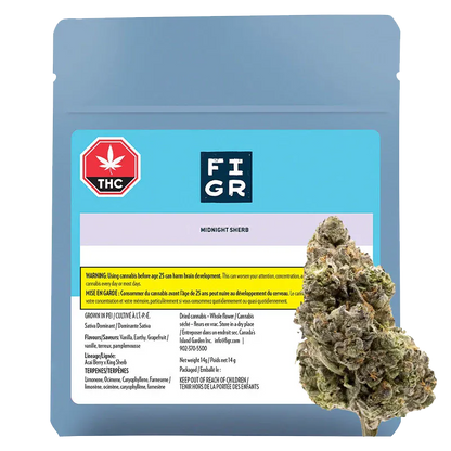 FIGR 14 g Midnight Sherb Flower