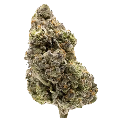 FIGR 14 g Midnight Sherb Flower