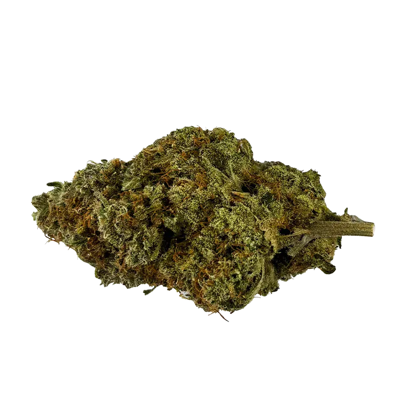 Close-up side view of a single dried bud labeled Organic Apex Kush showing dense green and orange hairs and a short stem.