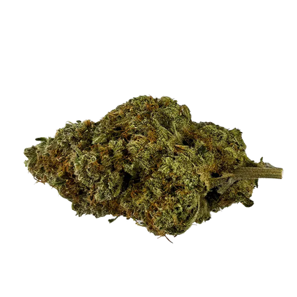 Close-up side view of a single dried bud labeled Organic Apex Kush showing dense green and orange hairs and a short stem.