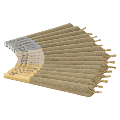 Violet Tourist 15 g Snicker-Giggle-Chuckle-Bums Variety Pack PR 15 x 1 g Pre-Rolls