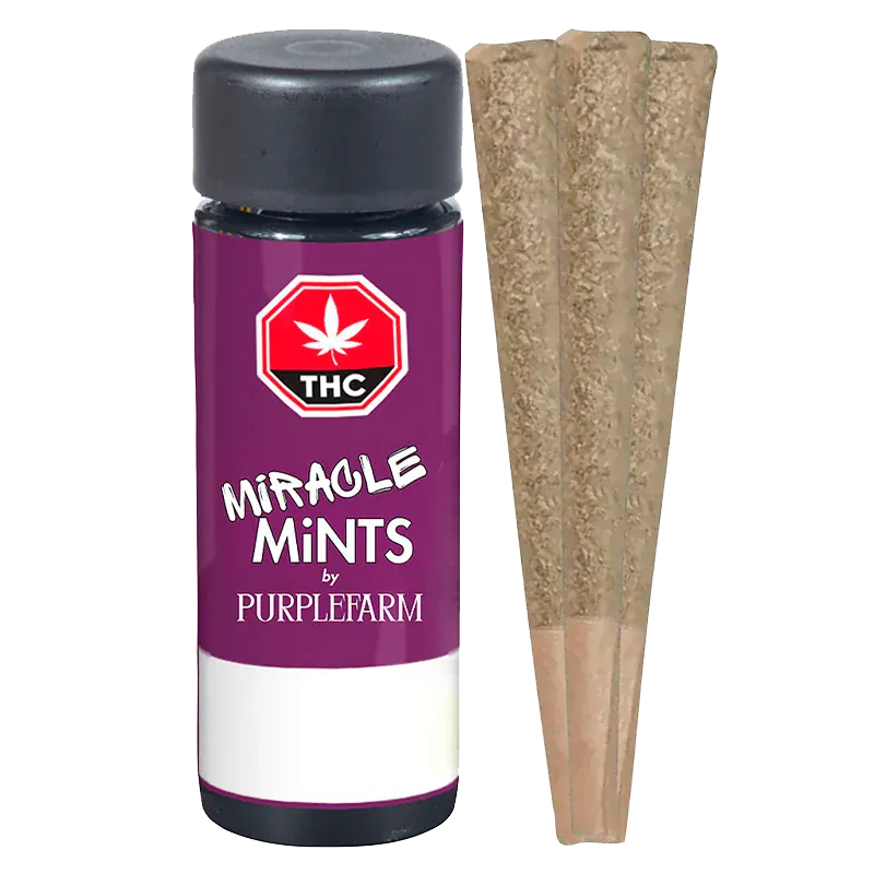 Purple Farm 1.5 g Miracle Mints PR 3 x 0.5 g Pre-Rolls