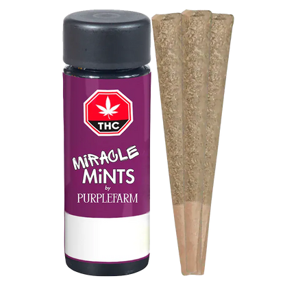 Purple Farm 1.5 g Miracle Mints PR 3 x 0.5 g Pre-Rolls