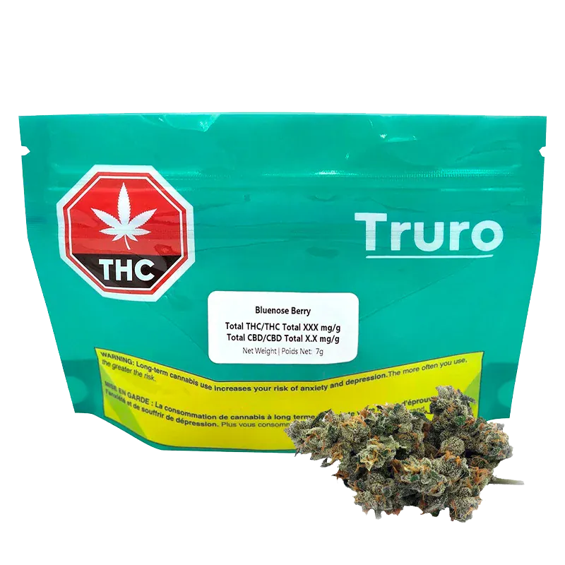 Front-facing image of a teal pouch labeled Truro Bluenose Berry with a THC symbol at left and cannabis buds placed in front.