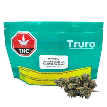 Front-facing image of a teal pouch labeled Truro Bluenose Berry with a THC symbol at left and cannabis buds placed in front.