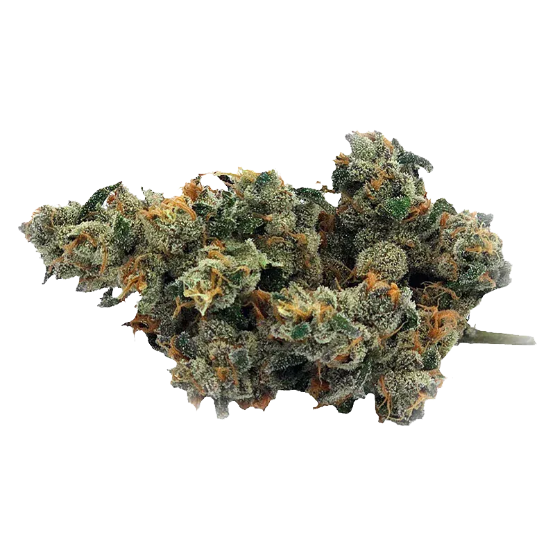 Close-up of a frosty cannabis bud of Bluenose Berry showing green and orange hairs and crystallized trichomes against a white background.