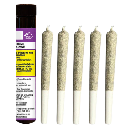 Right-side view of five rolled joints standing upright next to a purple-labeled tube of Caps Junky PR 5 x 0.5 g.