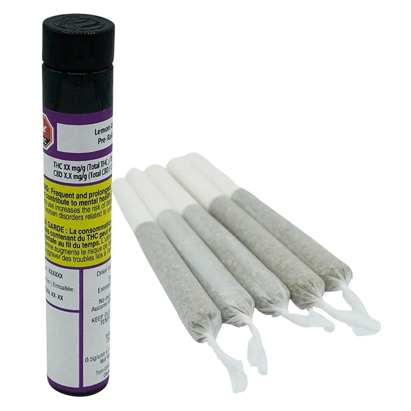 Angled top-down view of five pre-rolled joints fanned beside a standing black tube labeled Lemon-Up PR 5 x 0.5 g.