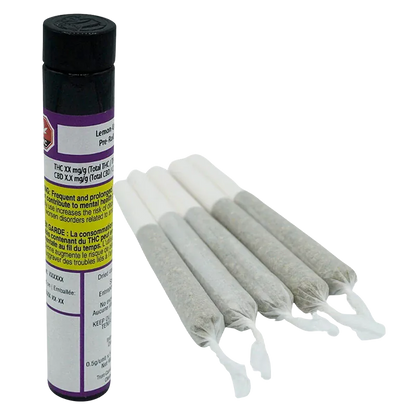 Angled top-down view of five pre-rolled joints fanned beside a standing black tube labeled Lemon-Up PR 5 x 0.5 g.