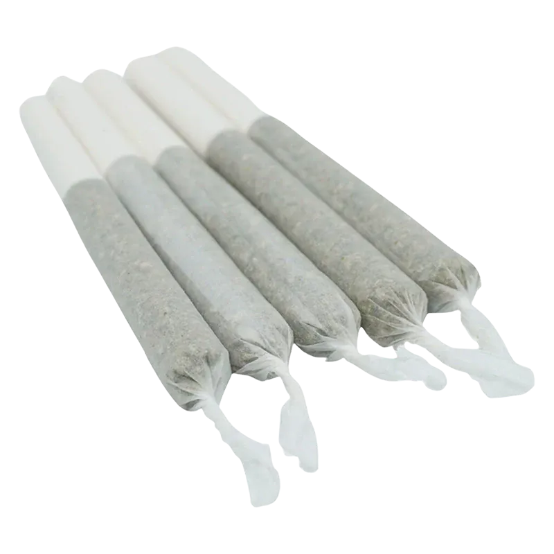 Three-quarter view of five twisted-end Lemon-Up PR 5 x 0.5 g pre-rolls aligned diagonally on a white background.