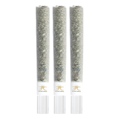 Three upright Pure Michigan Glass Tip PR 3 x 1 g pre-rolls in clear glass tubes shown front-on against a white background