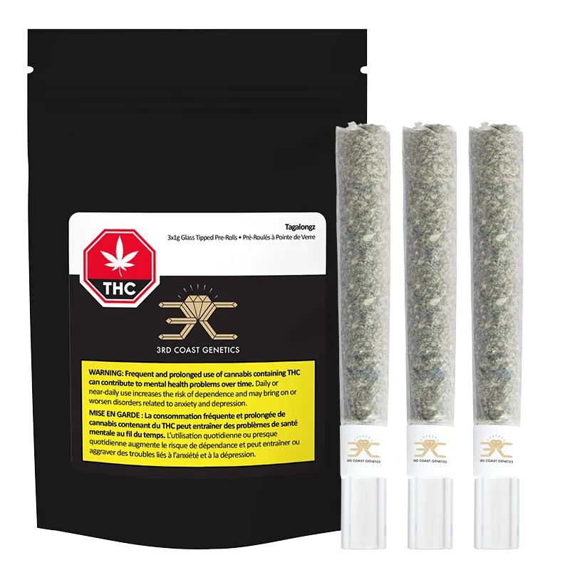 Front-facing image of a black pouch beside three upright glass-tipped pre-rolls labeled Tagalongz Glass Tip PR 3 x 1 g.