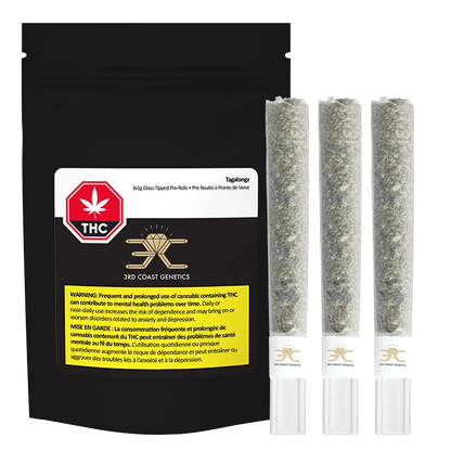 Front-facing image of a black pouch beside three upright glass-tipped pre-rolls labeled Tagalongz Glass Tip PR 3 x 1 g.