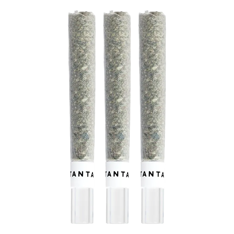 Three vertical MAI TAI X ZERO GRAVITY Glass Tip PR 3 x 1 g pre-rolls shown front-on against a white background.