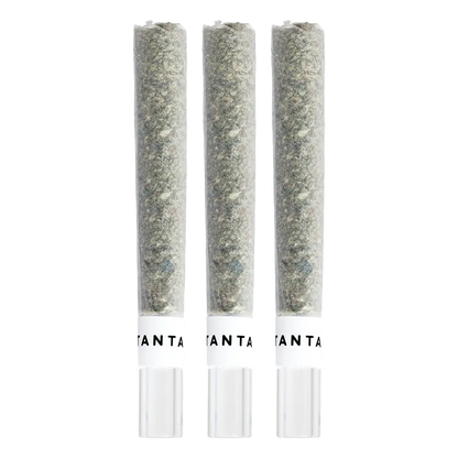 Three vertical MAI TAI X ZERO GRAVITY Glass Tip PR 3 x 1 g pre-rolls shown front-on against a white background.