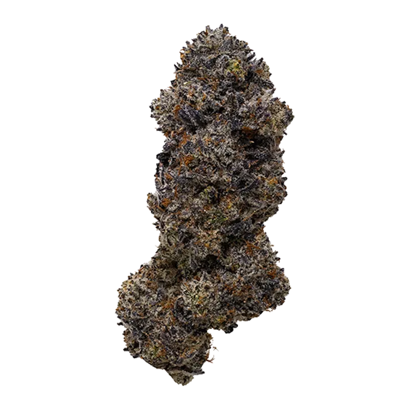 Close-up of a single frosty purple-green bud labeled Frisian Dew against a clean white background.