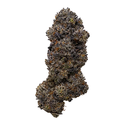 Close-up of a single frosty purple-green bud labeled Frisian Dew against a clean white background.