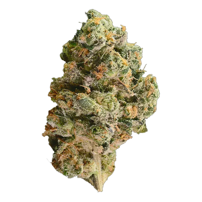 Close-up, three-quarter view of a frosty green and orange cannabis bud labeled Mutant Tire Fire, shown against a plain white background