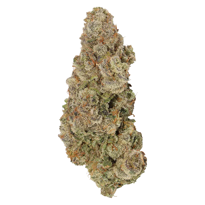 Close-up front view of a frosty, conical cannabis bud labeled Envy, showing dense trichomes and orange pistils against a white background.