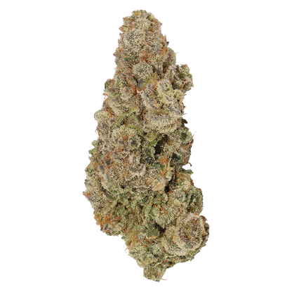 Close-up front view of a frosty, conical cannabis bud labeled Envy, showing dense trichomes and orange pistils against a white background.