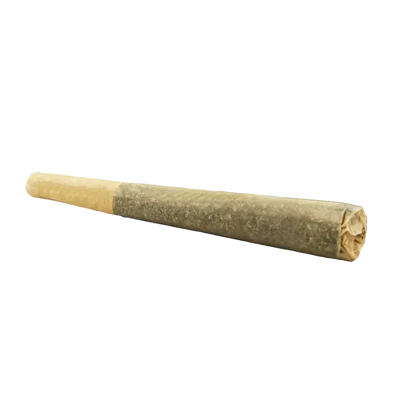 Angled close-up of an Organic Apex Kush PR 1 x 0.5 g pre-roll showing its tapered, paper-wrapped cone and twisted closed tip.