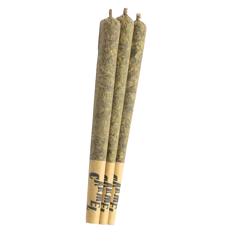 Three slender pre-rolled joints photographed upright in a row, showing the twisted tips and printed paper filters of Envy PR 3 x 0.5 g.