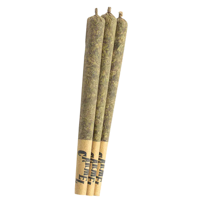 Three slender pre-rolled joints photographed upright in a row, showing the twisted tips and printed paper filters of Envy PR 3 x 0.5 g.