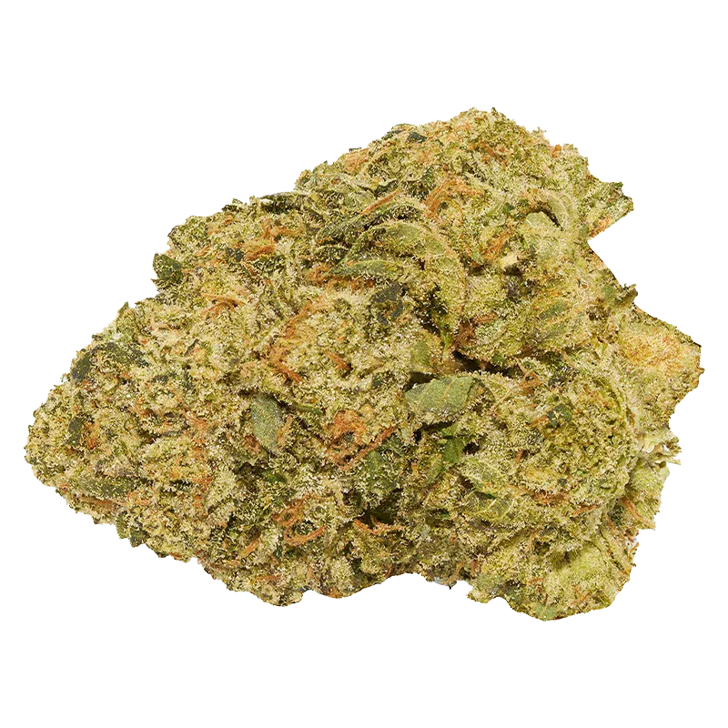 Close-up of the green and amber trichome-covered nugget of Facade.
