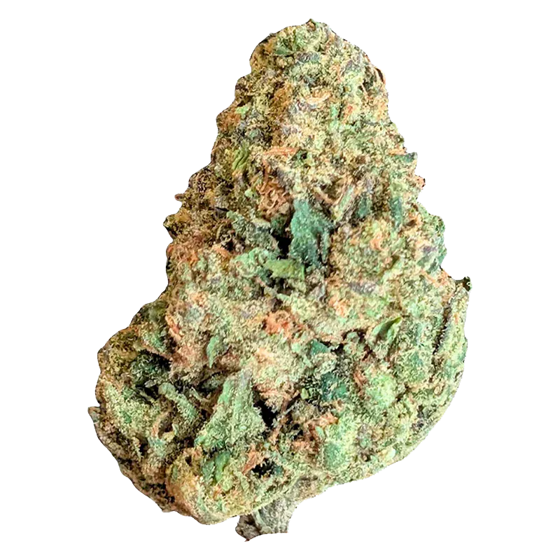 Close-up front view of a single BC Organic Lime Drizzle cannabis bud against a clean white background, showing green leaves and amber hairs.