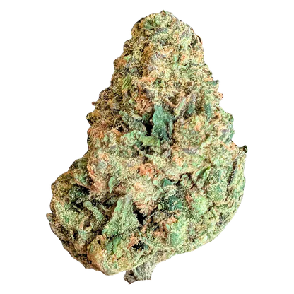Close-up front view of a single BC Organic Lime Drizzle cannabis bud against a clean white background, showing green leaves and amber hairs.