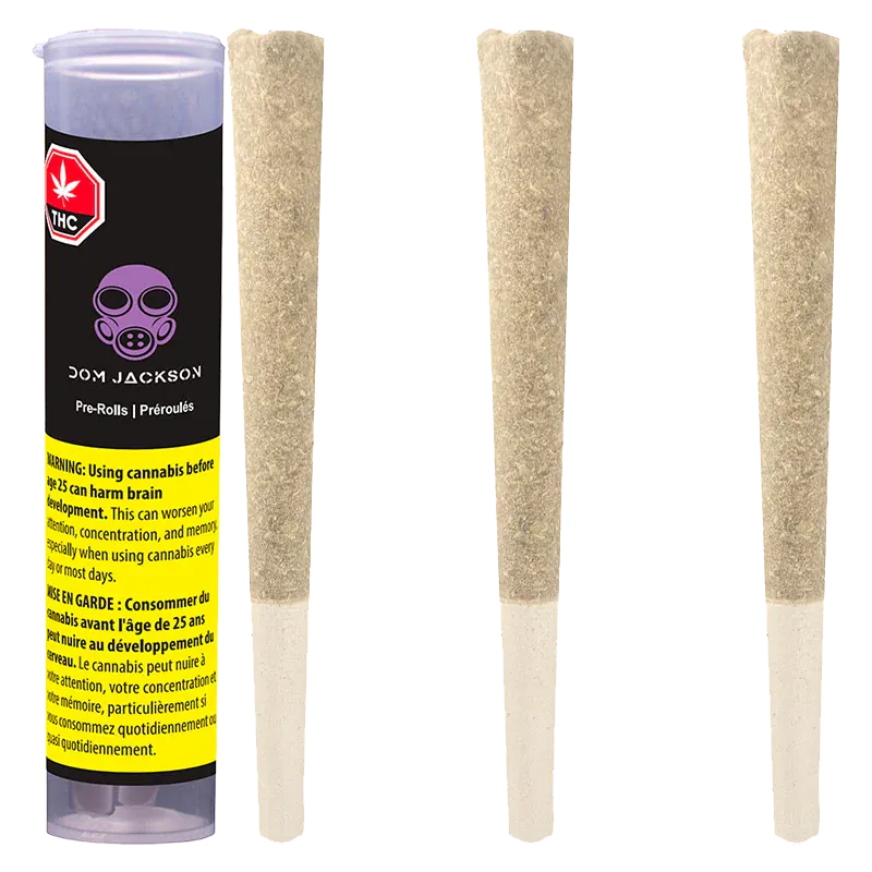 Vertical product shot showing a clear-topped tube and three beige pre-rolls, labeled Banjo PR 3 x 0.5 g.