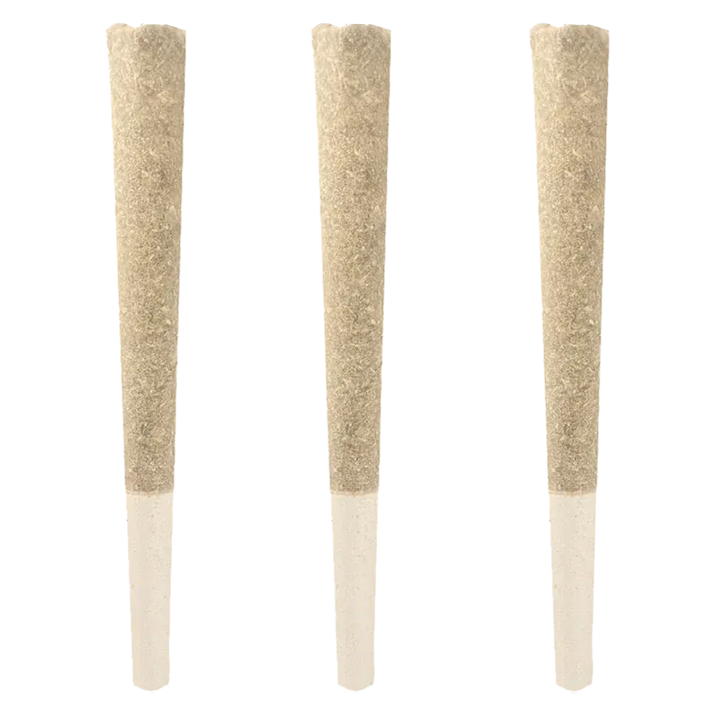 Three upright beige pre-rolls photographed front-on, showing textured brown paper and clear filter tips, Banjo PR 3 x 0.5 g
