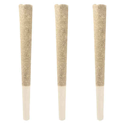 Three upright beige pre-rolls photographed front-on, showing textured brown paper and clear filter tips, Banjo PR 3 x 0.5 g