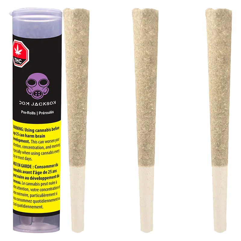 Vertical product shot of a Ghost Banner PR 3 x 0.5 g tube with three upright pre-rolls on a white reflective background.