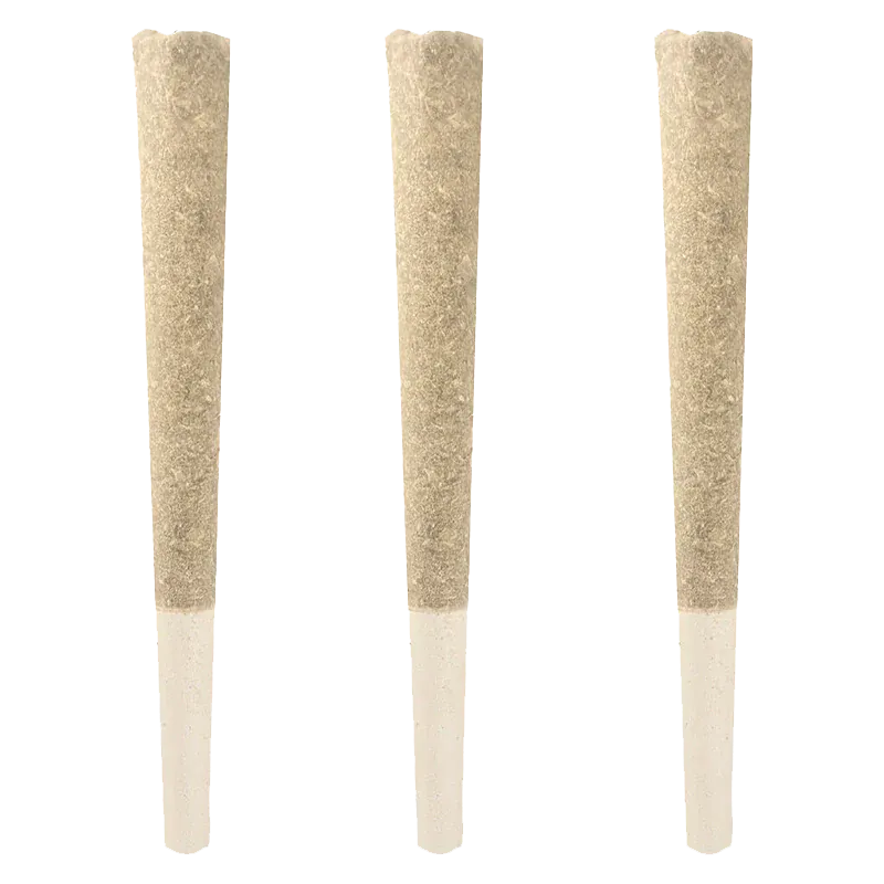 Three upright, evenly spaced Ghost Banner PR 3 x 0.5 g cones photographed front-on against a white background.