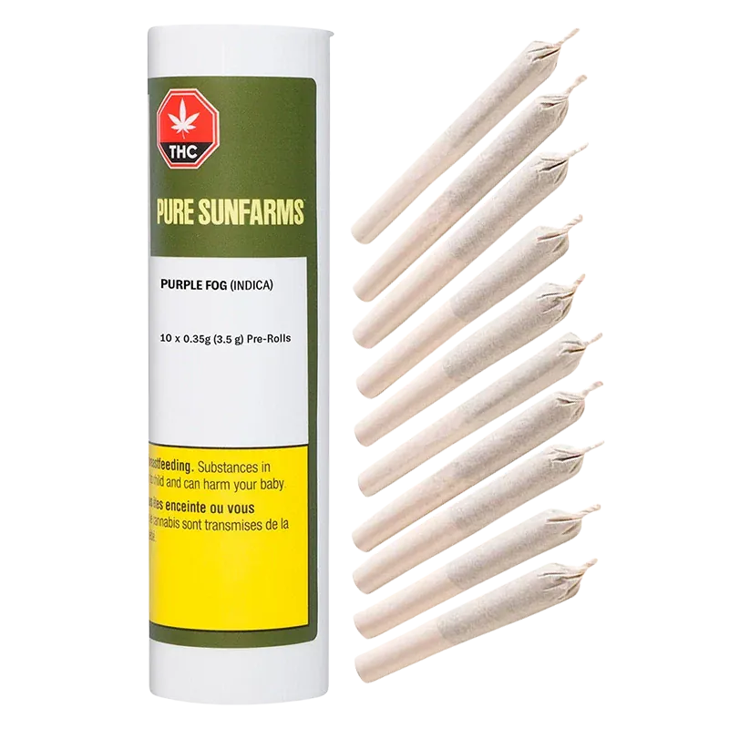 Studio-style front view of a Pure Sunfarms Purple Fog PR 10 x 0.35 g tube standing next to a fanned row of paper-wrapped pre-rolls.