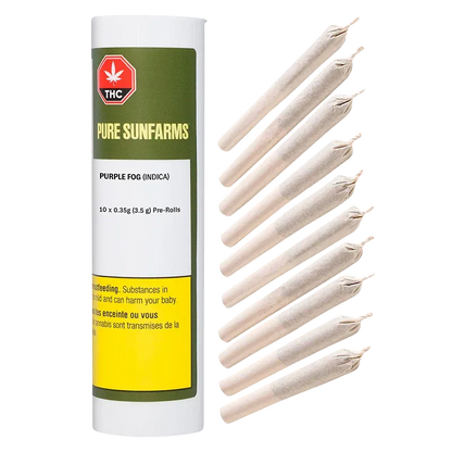 Studio-style front view of a Pure Sunfarms Purple Fog PR 10 x 0.35 g tube standing next to a fanned row of paper-wrapped pre-rolls.