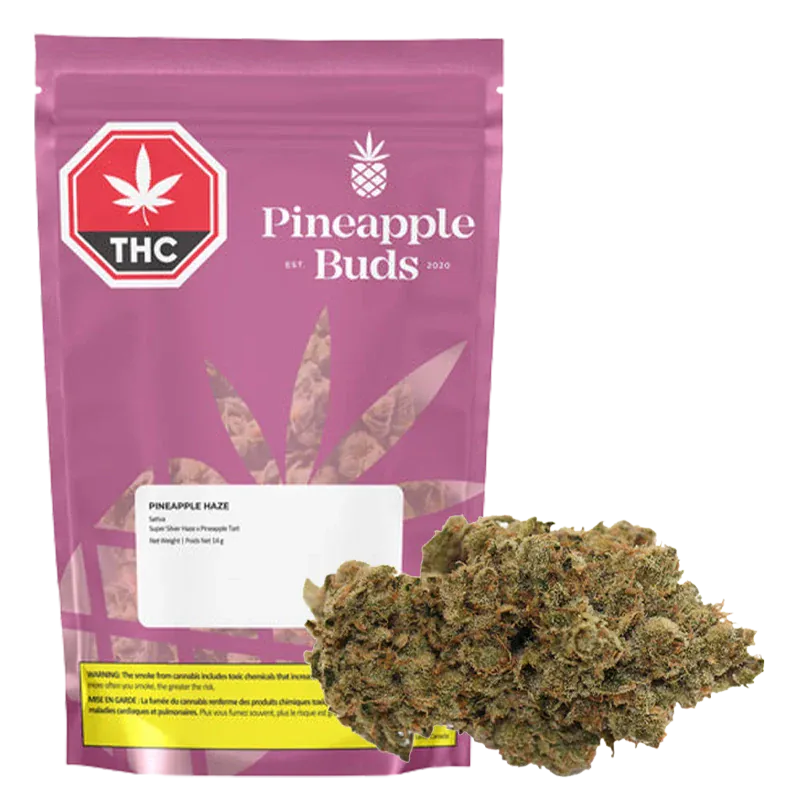 Front-facing shot of the Pineapple Buds Pineapple Haze 14 g pouch in magenta with a visible THC badge and a cannabis bud foreground.