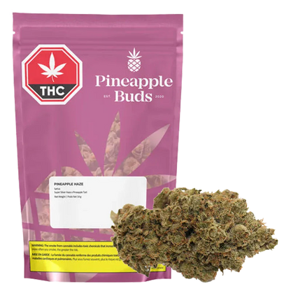 Front-facing shot of the Pineapple Buds Pineapple Haze 14 g pouch in magenta with a visible THC badge and a cannabis bud foreground.