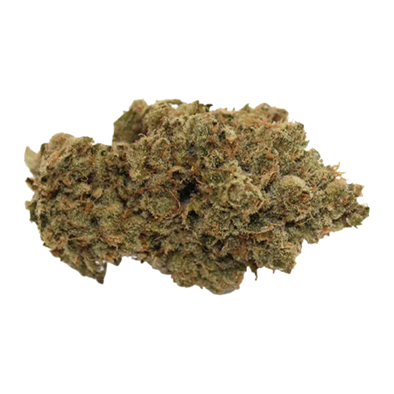 Close-up of a single Pineapple Haze bud showing dense green and amber trichome-covered nugs against a white background.