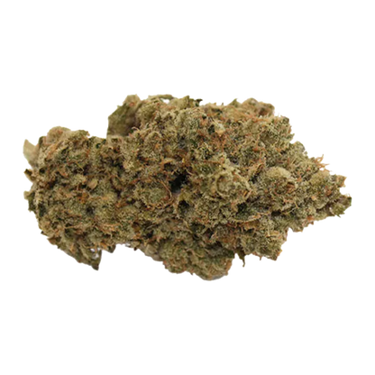 Close-up of a single Pineapple Haze bud showing dense green and amber trichome-covered nugs against a white background.