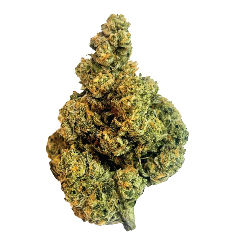 Close-up of a dense, light-green Turbulence cannabis bud with orange pistils and frosty trichomes against a white background.