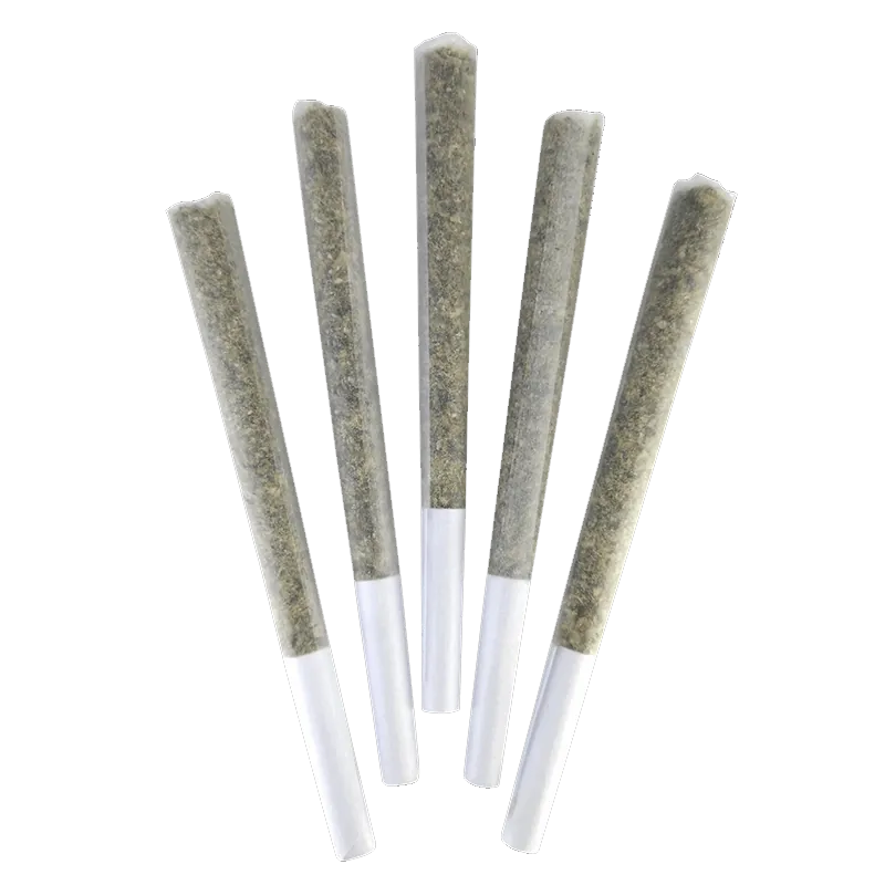 DEALR 2.5 g Love Potion #9 PR 5 x 0.5 g Pre-Rolls