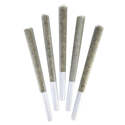 DEALR 2.5 g Love Potion #9 PR 5 x 0.5 g Pre-Rolls