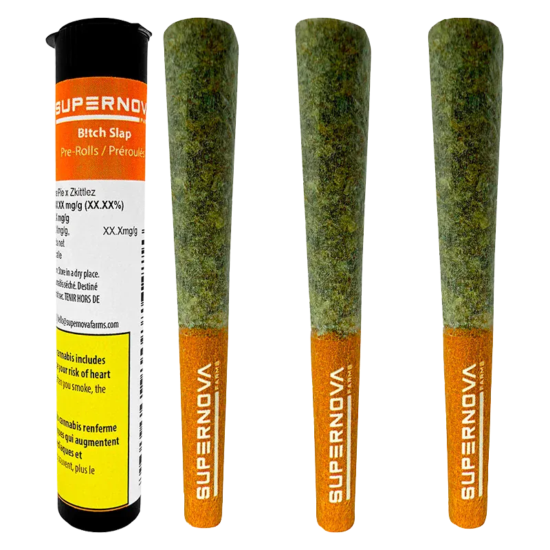 Close-up front view of a Supernova B!tch Slap PR 3 x 0.5 g pre-roll tube and three matching orange-filtered pre-rolls standing upright on a white background.
